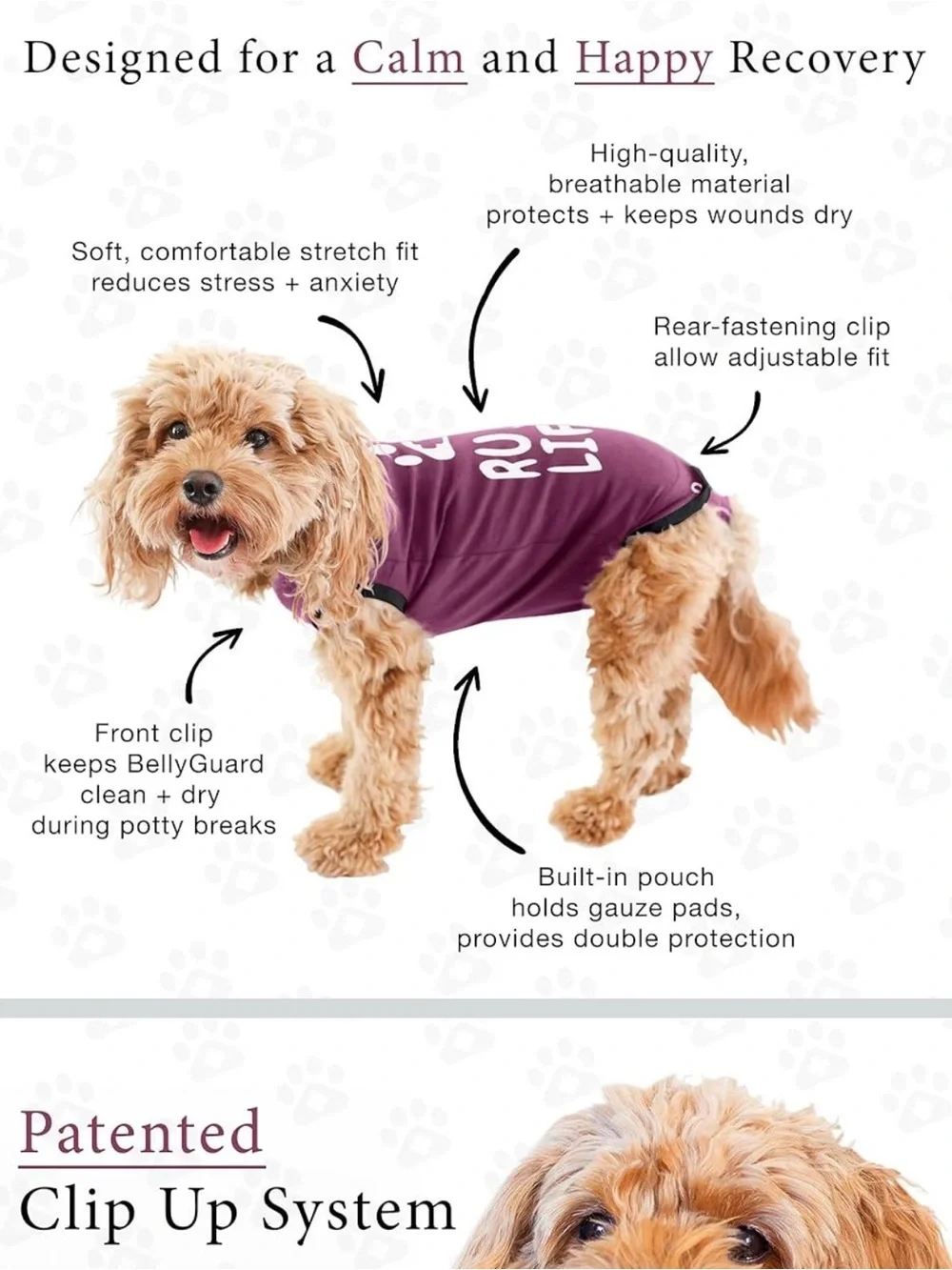 BellyGuard Dog Recovery Garment • No Cone Comfort • Size Small 8-15lbs Maroon